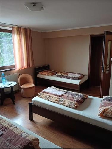 a bedroom with two beds and a table and a table sidx sidx sidx at Antonówka pod Dudziarzem in Radomierz