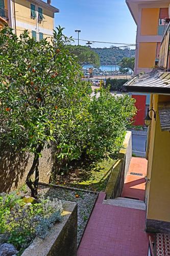 a small tree in a garden next to a building at Giulio's terraces in the bay in Le Grazie