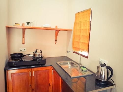 a small kitchen with a stove and a sink at The Aladin House in Tujering