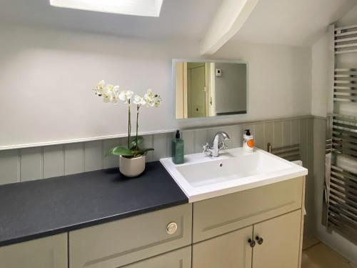 a bathroom with a sink and a mirror at Folly Cottage in Avening