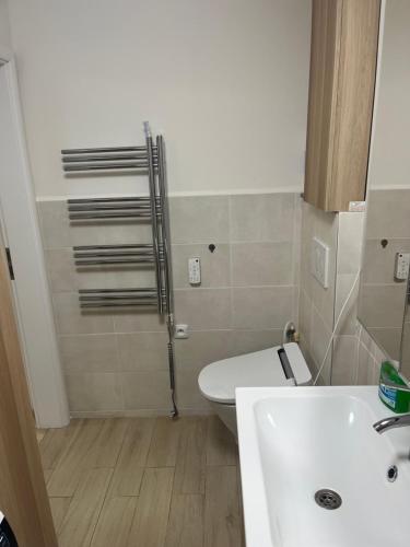 uma casa de banho com um WC, um lavatório e um chuveiro em Relax pobyt na břehu Sázavy a na dosah Prahy em Čerčany