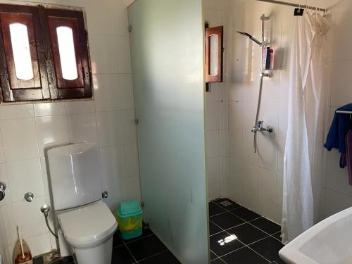 La salle de bains est pourvue de toilettes, d'un lavabo et d'une douche. dans l'établissement Eldorado Lodge and Restaurant, à Dahab