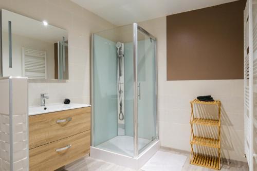 a glass shower in a bathroom with a sink at Aux portes du marché in Bar-le-Duc