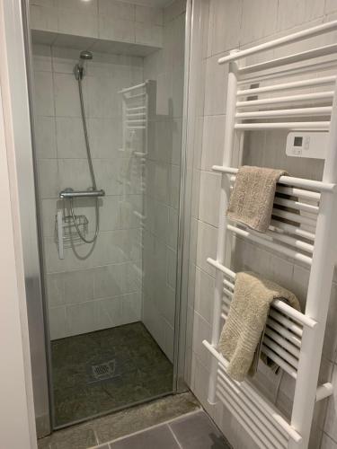een douche met een glazen deur in de badkamer bij Studio calme, la campagne a 5 minutes de la ville in Fondettes