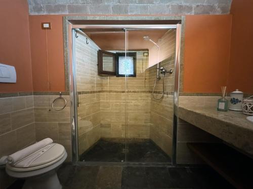 a bathroom with a shower and a toilet at Suite Gabri, Stiozzi Ridolfi in Certaldo