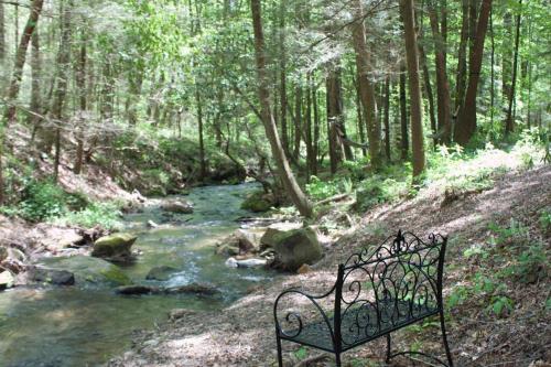 a bench sitting next to a stream in a forest at Private Creekside Cabin+Hot Tub,Pool Table, & Pets in Ellijay