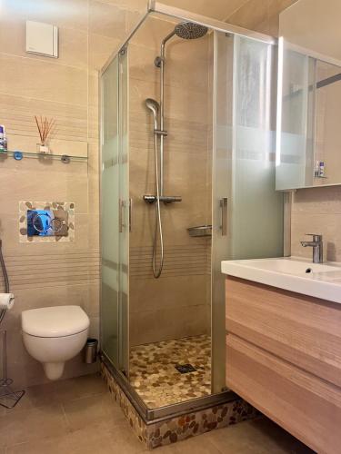 a bathroom with a shower and a toilet and a sink at Appartement cosy près de la Seine in Boulogne-Billancourt