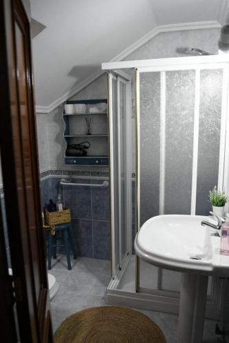 a bathroom with a shower and a white sink at O Monteiriño in Arbo