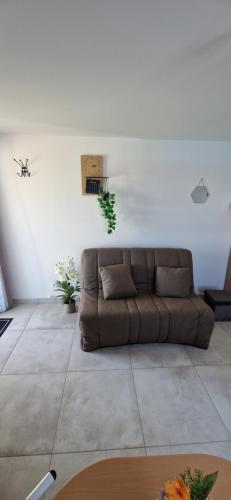 a living room with a brown couch in a room at Studio plein Sud au calme in Montauban
