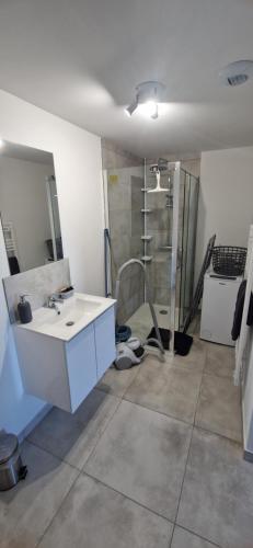 a bathroom with a shower and a white sink at Studio plein Sud au calme in Montauban