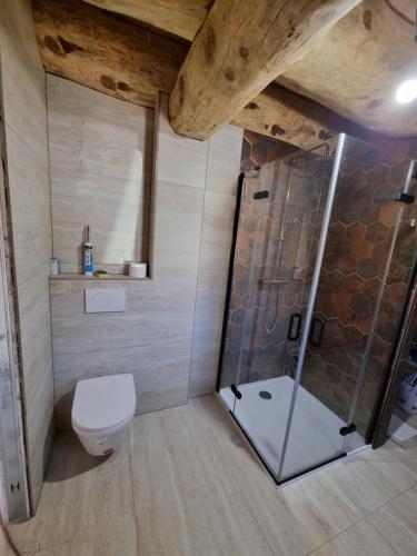 een badkamer met een douche en een toilet in een kamer bij Vila Vrhi in Pregrada