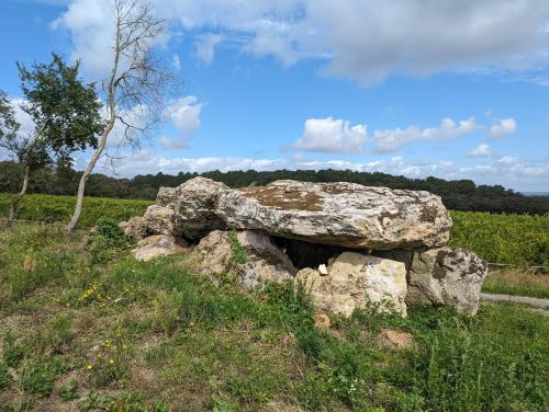 Une grande roche assise dans un champ d'herbe dans l'établissement Chambre Pantagruel Le dolmen, à Thizay