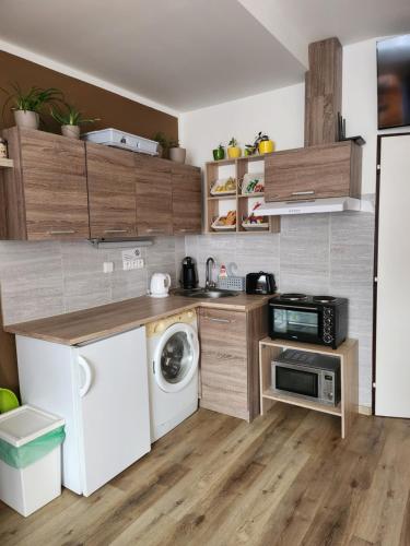 a kitchen with a washing machine and a washer at Ubytováni u PÁji in Kynšperk nad Ohří