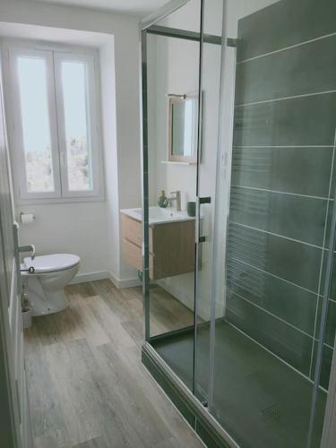 une salle de bain avec une douche en verre et des toilettes dans l'établissement Maison Corse avec piscine et sauna - La Casa Lilia, à Campile