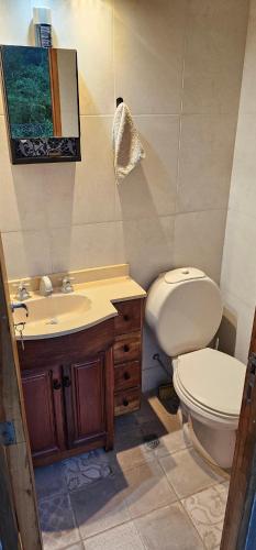 a bathroom with a toilet and a sink at Conectate con la Naturaleza in Salta