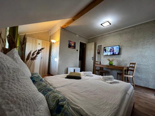 a bedroom with a bed and a table and a tv at Pensiunea Andra in Jurilovca