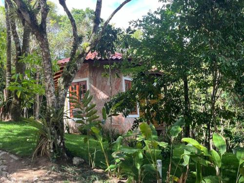 una pequeña casa en medio de un bosque en Chalé Carolina Bela, en Guaramiranga