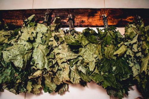 a bunch of lettuce hanging on a wall at Fortetsya "Стабільне електропостачання!" in Umanʼ