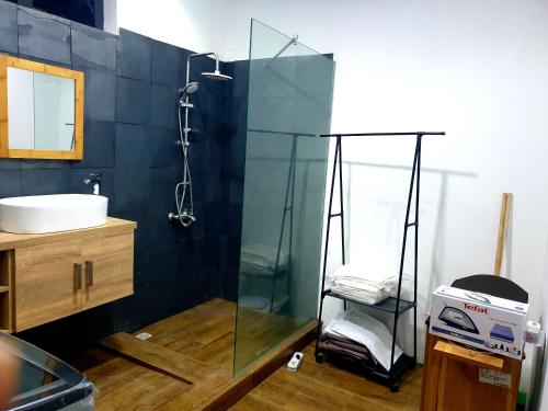 y baño con ducha acristalada y lavamanos. en Calodyne residence en Grand Gaube