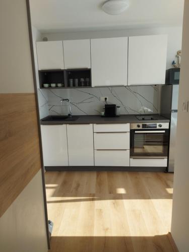 Kuchyň nebo kuchyňský kout v ubytování Apartment Sunny
