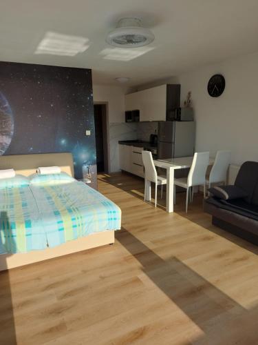 Kuchyň nebo kuchyňský kout v ubytování Apartment Sunny