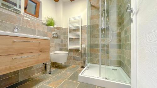 a bathroom with a toilet and a glass shower at Vilux with indoor private parking in Braşov
