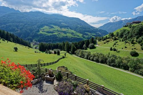 a view of a valley with mountains and flowers at Enzianhof - Nature Apartments in San Giovanni in Val Aurina