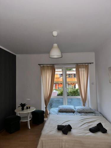 Pokoje Teligi 4 pokój 7