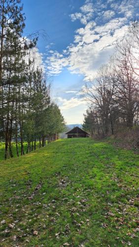 a field with trees and a building in the distance at Zajazd-restauracja Zyga in Iwkowa