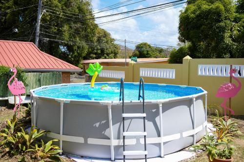 a pool with two pink flamingos and a ladder at The ARC in Scarborough