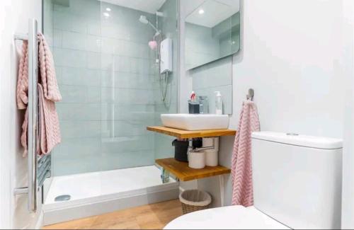 亞芬河畔史特拉福的住宿－The Annex, Stratford Upon-Avon，带淋浴、盥洗盆和卫生间的浴室