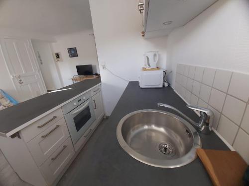 um lavatório de prata numa cozinha com um balcão em Appartement à 100m plage de Puys dans ancien hôtel particulier. Place parking em Dieppe