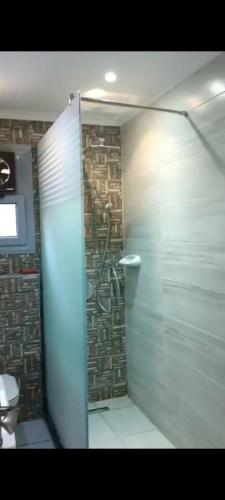 La salle de bains est pourvue d'une douche en verre et de toilettes. dans l'établissement المهندسين, au Caire