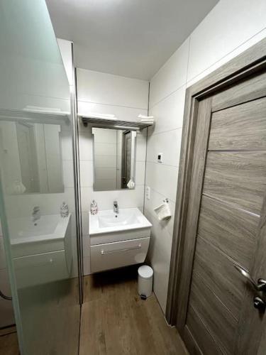 Phòng tắm tại Familienwohnung nähe Europapark, Messe, Gifiz See