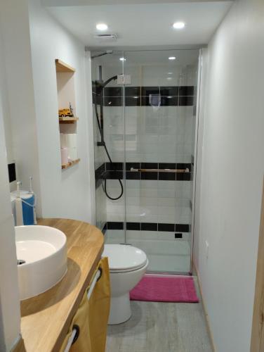 uma casa de banho com um lavatório, um WC e um chuveiro em Chalet 2 personnes à 5min de la plage em Guimaëc