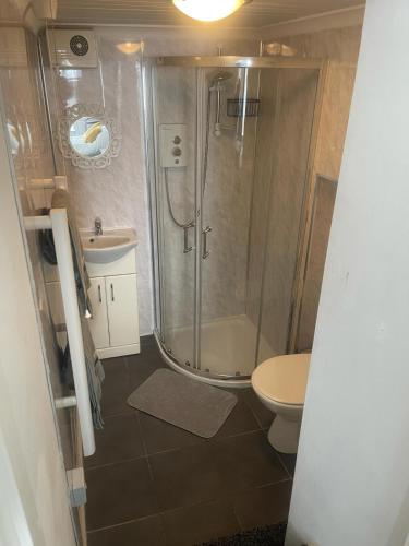 a bathroom with a shower and a toilet at Lovely Getaway Apartment in Wisbech in Wisbech