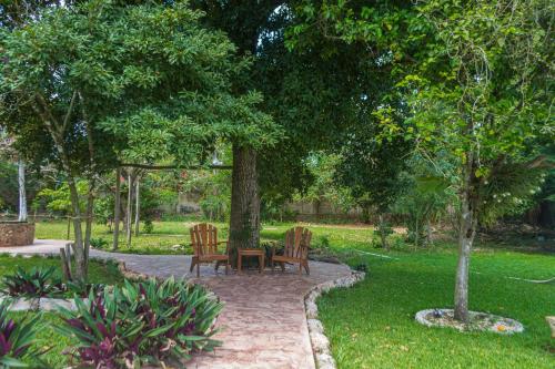 two chairs and a table under two trees in a park at Hotel Boutique Casa Xaan in Valladolid
