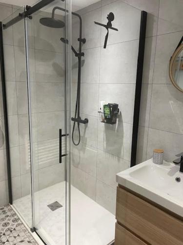 une salle de bain avec douche et lavabo dans l'établissement Chez Anaïs, à Dieue-sur-Meuse