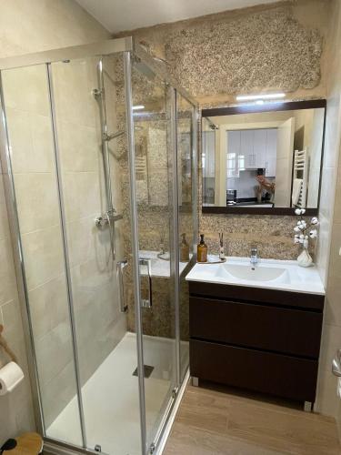 a bathroom with a shower and a sink at Apartamentos SARABIA DARRIBA in Ourense
