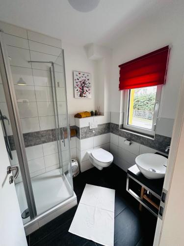 a bathroom with a shower and a toilet and a sink at Fischis Ferienwohnung Struppen in Struppen