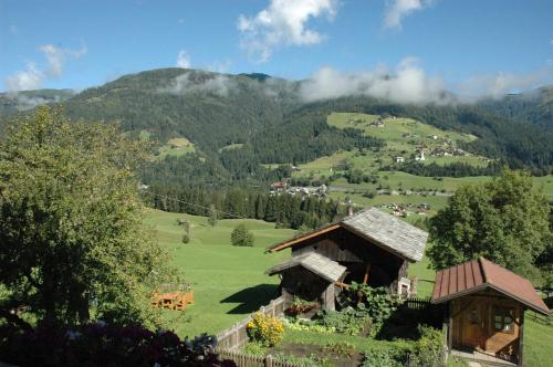 a green field with two cottages in front of a mountain at Alpenhof Wolayersee in Birnbaum