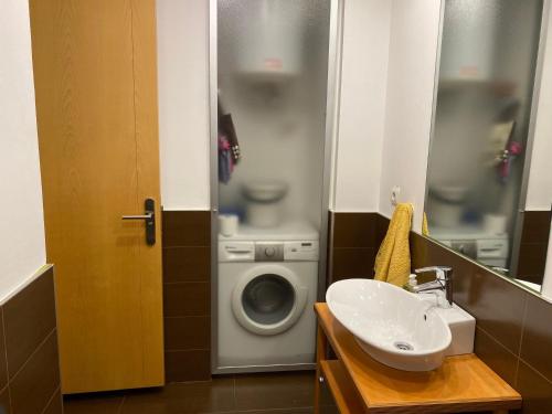 La salle de bains est pourvue d'un lave-linge et d'un lavabo. dans l'établissement Estudio Céntrico D1, à Oviedo