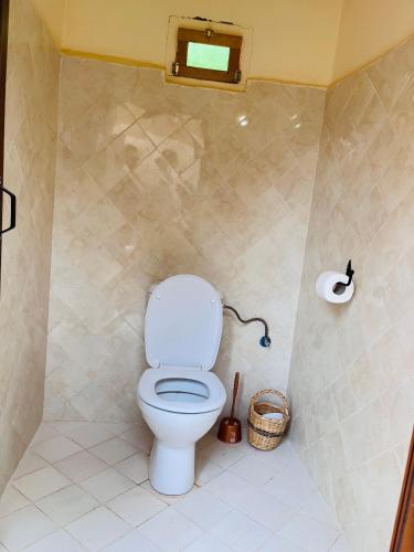 a bathroom with a toilet and a roll of toilet paper at Camping auberge palmeraie d'amezrou in Zagora