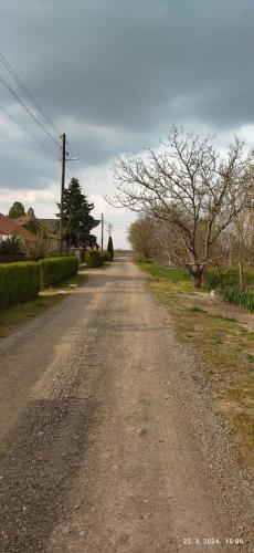 a dirt road with a tree on the side of it at Apartman Dve lipe in Palić