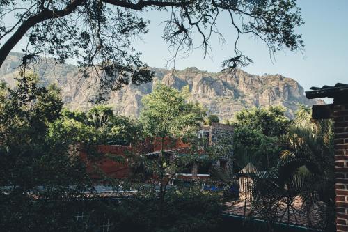 a view of a mountain from a resort with trees at Hotel La Posada del Valle in Tepoztlán