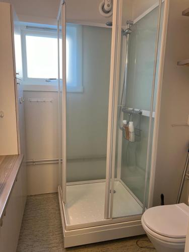 a glass shower in a bathroom with a toilet at Fjellveien 4 in Vadsø