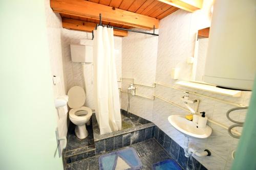 La salle de bains est pourvue de toilettes et d'un lavabo. dans l'établissement Apartmani SIMOVIĆ, à Arilje