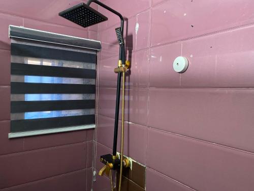 a shower in a pink bathroom with a mirror at Owee Hotel Exclusive Apartments & Suites in Lagos