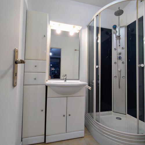 une salle de bain avec un lavabo et une douche dans l'établissement Coeuilly village parisien Champigny sur Marne, à Champigny-sur-Marne