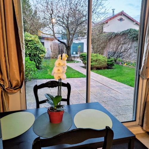 einem Tisch mit einer Pflanze vor einem Fenster in der Unterkunft Coeuilly village parisien Champigny sur Marne in Champigny-sur-Marne